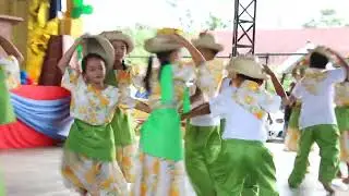 Grade 3 Performance