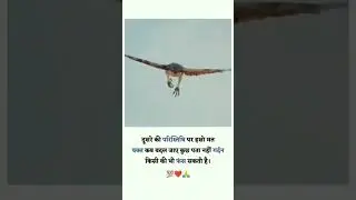 Fuel Your Motivation |  Short Inspirational Video 