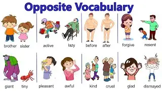 300 opposites for beginners | antonyms in English | common opposite vocabulary | 300 antonym words
