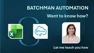 Automate BATCHMAN with Excel VBA & SAP GUI Scripting - Minimal Coding Required | SAP S/4HANA Part 1