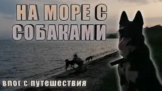 Путешествие на квадрике с двумя собаками до моря. Чуть не перевернулись на крадрике😨Стоим под линией