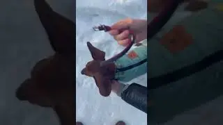 Уже дома 😳 
