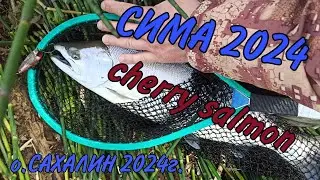 СИМА и первый день ЛЕТА 2024г.