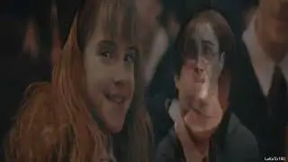 Harry and Hermione - 