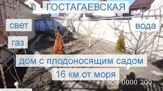 #Гостагаевская