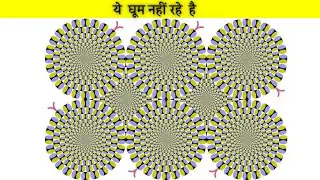 10 Mind boggling optical illusion that have stumped the internet 