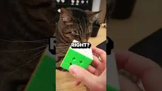 Cube Robot Can’t Solve This Scramble! 🤯