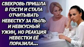 Свекровь пришла в гости и стала отчитывать невестку за пыль и невкусный ужин. Но реакция невестки...