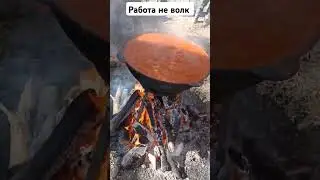 Работа не волк #квадропокатушки #trending #offroad