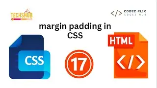 Margin Padding Property in CSS | How to apply margin padding | Techshub