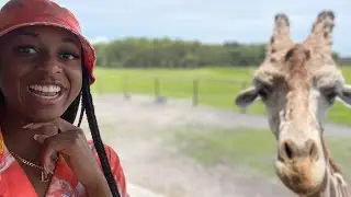 Wild Florida Drive-Thru Safari W/ The FAM