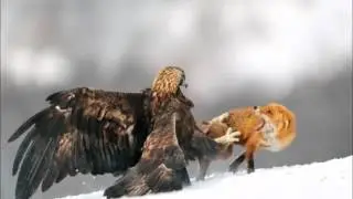 Лучшие фотографии последнего месяца