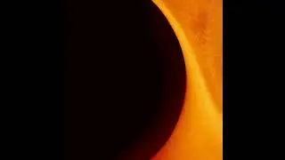 XXXTentancoin NUMB slowed
