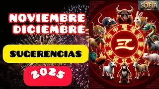 ✨🔥ENERGÍAS🔥✨NOVIEMBRE y DICIEMBRE 2025 🐍TODOS LOS SIGNOS!🤗🤍