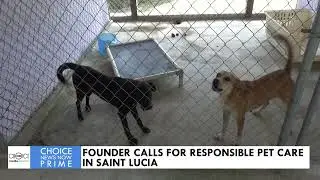 FOUNDER CALLS FOR RESPONSIBLE PET CARE IN SAINT LUCIA