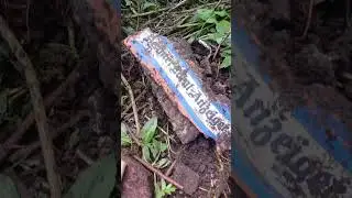 Хороший день.
