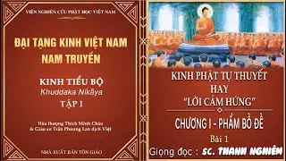 ĐẠI TẠNG KINH | KINH PHẬT TỰ THUYẾT HAY " LỜI CẢM HỨNG" | CHƯƠNG I _ PHẨM BỒ ĐỀ ( BÀI 1)