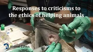 Responses to criticisms to the ethics of helping animals
