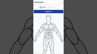 musclewiki web site jo gym trainer nhi btate hain