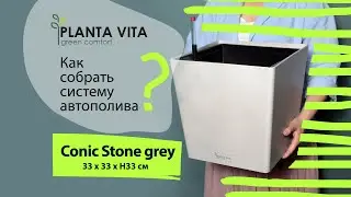 Автополив для растений в интерьере