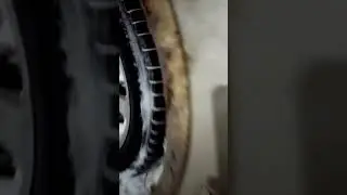 Шиповки и Сиповки.