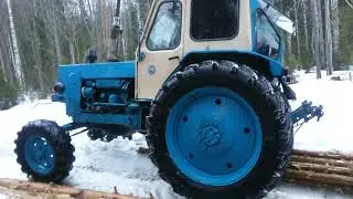 ЮМЗ -6 трелевка леса(Семуково)