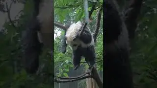 Передаю привет всем кто за******