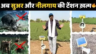 🐗 सुअर और 🦌नीलगाय की टेंशन खत्म🚫🚨  |Solar  Smart Animal Light | ALL Agriculture
