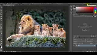 Скачать и установить PHOTOSHOP CC2015 V0 1 RUS