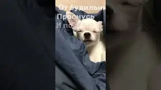 Слова не видно(