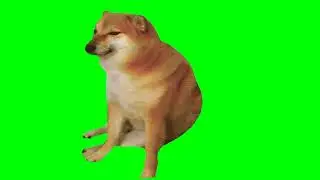Cheems Vibing Green Screen || Cheems Green Screen