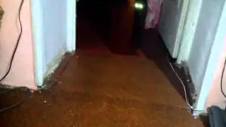 Как поймать кота? How to catch a cat?