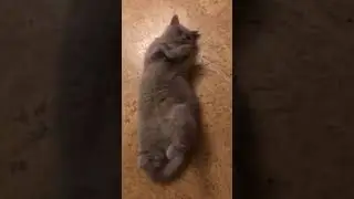 Не положили деньги на интернет . Забастовка
