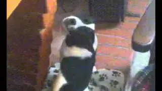 Molly e il TG5!!