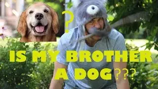 My Brother is a Dog??? (Storytime) Not Clickbait!!!