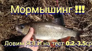 Тест ультро-лайта !!! Язь на Мормышинг это КАЙФ))))))))))