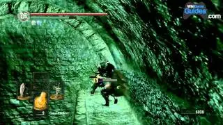 Dark Souls Walkthrough - Dark Souls Guide - Blighttown: Fire Keeper Soul | WikiGameGuides