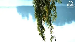Beautiful Relaxing Music - Stop Overthinking, Stress Relief Music, Sleep Music, Calming Music
