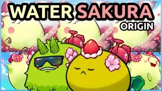 Double Water Sakura! - TOP 10 Challenger 406 Gameplay | Axie Origins