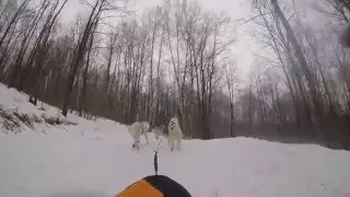 лоб в лоб c упущенной упряжкой