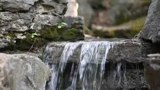 Вода ТМ "Златогорка" Живая вода. Доставка живой воды в Екатеринбурге