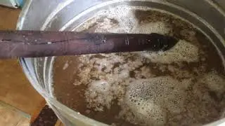 Ячменное пиво в домашних условиях