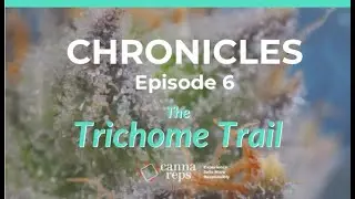 Trichome Trail with Marcus "Bubbleman" Richardson | CHRONICLES 06
