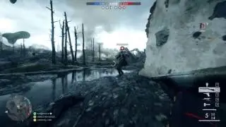 Friendly Fire