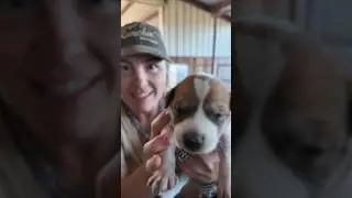 Let’s Name All The Puppies!