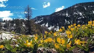 Cinematic flight.  Short.  Fishcreek falls, second falls Steamboat Springs Colorado. SMO 4K Avio 3