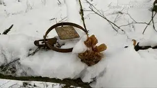 Установка капканов на куницу и петєль на зайца первий снєг