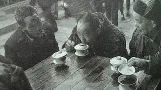 WANG Hua-de - Shu (Sichuan) Qin Music. Tea Ceremony Music, Chinese Traditional, Tai Chi, Guqin