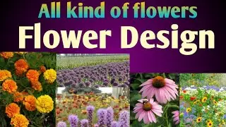 natural flowers video#yellow flowers#by ss masti
