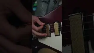 Ernie Ball Everlast 73 vs 88 Picks